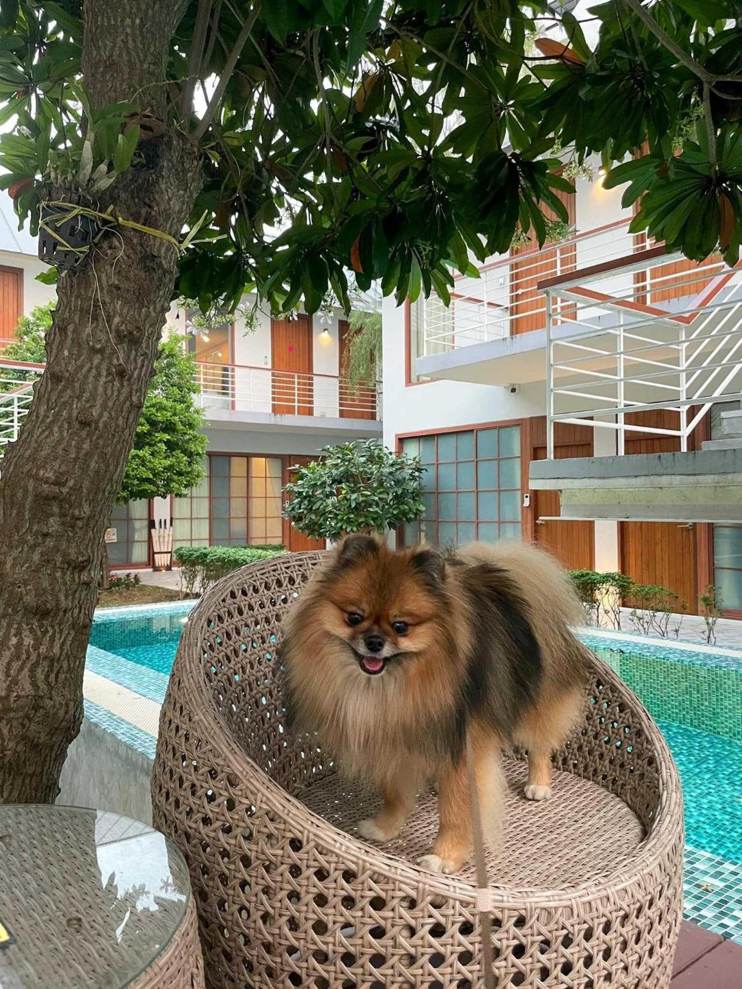 Four O'Clock Hotel Chiang Mai Exterior foto